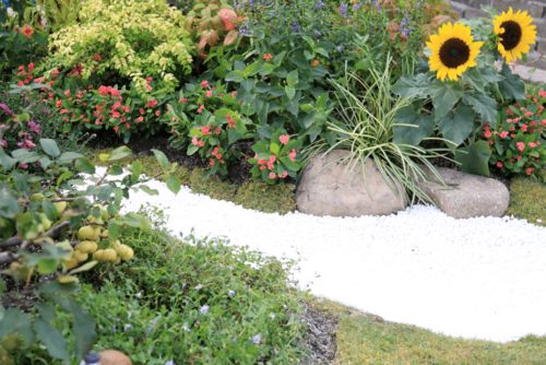 我市2人獲得無錫市園林綠化行業(yè)花卉園藝工技能競賽 優(yōu)秀選手 稱號