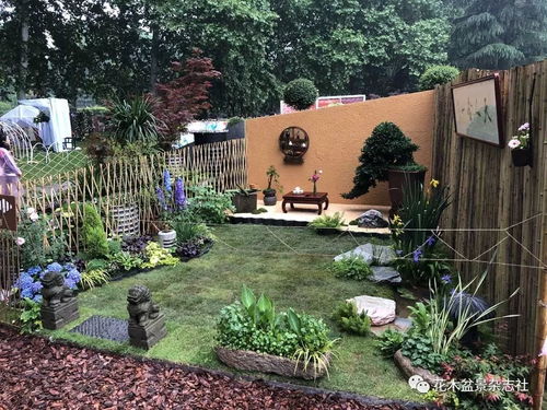 花木盆景年度榜單 2019年花卉園藝錦繡榜