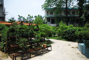 園林類專業(yè)和實(shí)訓(xùn)中心介紹