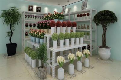 植彩坊園藝_植彩坊園藝費(fèi)用多少_怎么樣