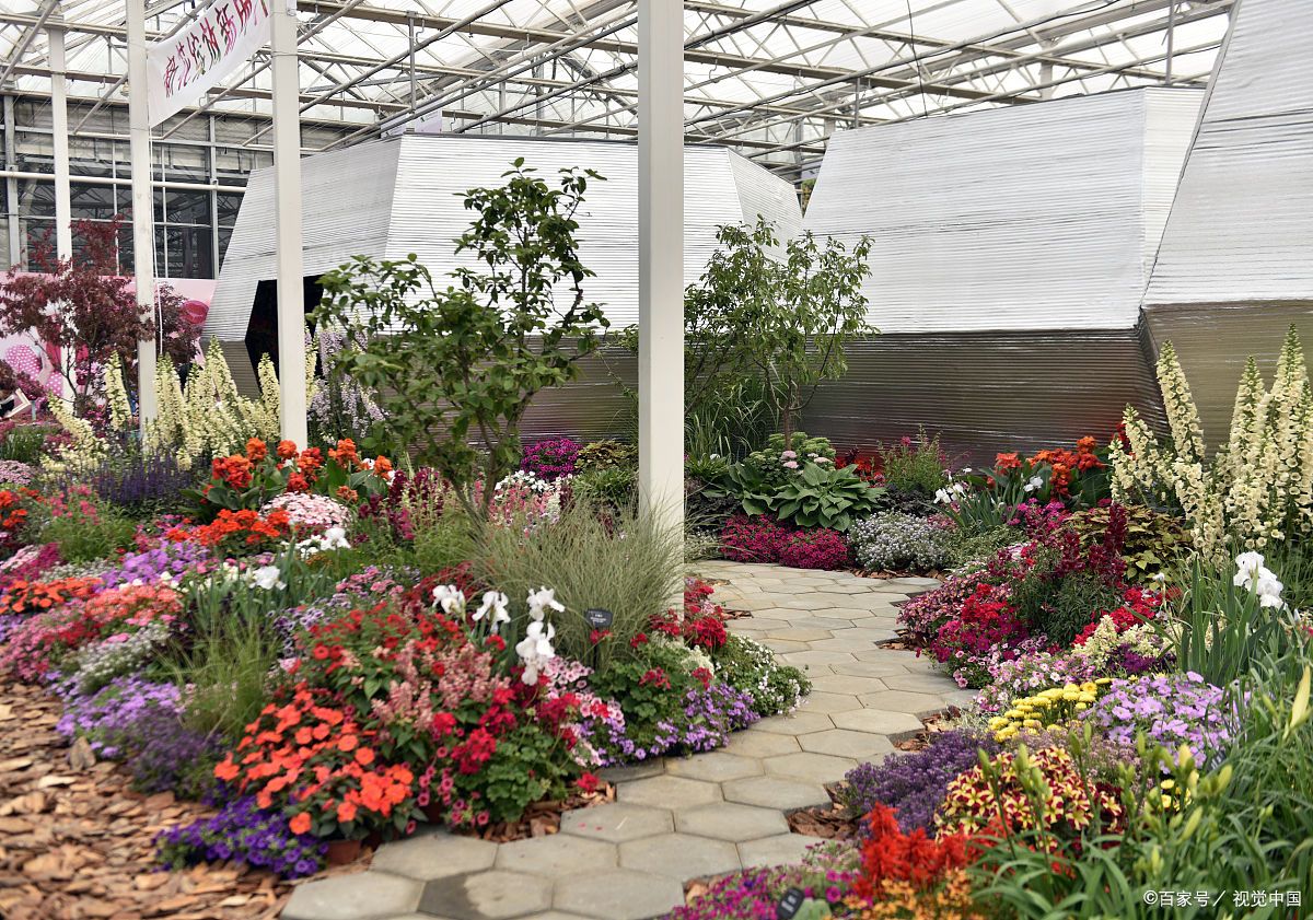內(nèi)蒙古農(nóng)業(yè)大學(xué):觀賞園藝學(xué)專業(yè)的精彩畫卷  在廣袤的內(nèi)蒙古大地上,有