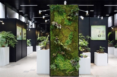 苔蘚也能成景觀?陰生植物展開啟上海植物園秋季花展壓軸大秀 快來看看吧!