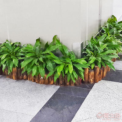 【防腐木樁圍欄 碳化實木護欄園林裝飾道具 家居庭院園藝木墩樹樁】 - 產品庫