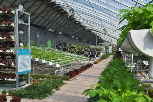 北京市延慶區 延慶鄉村觀光休閑游