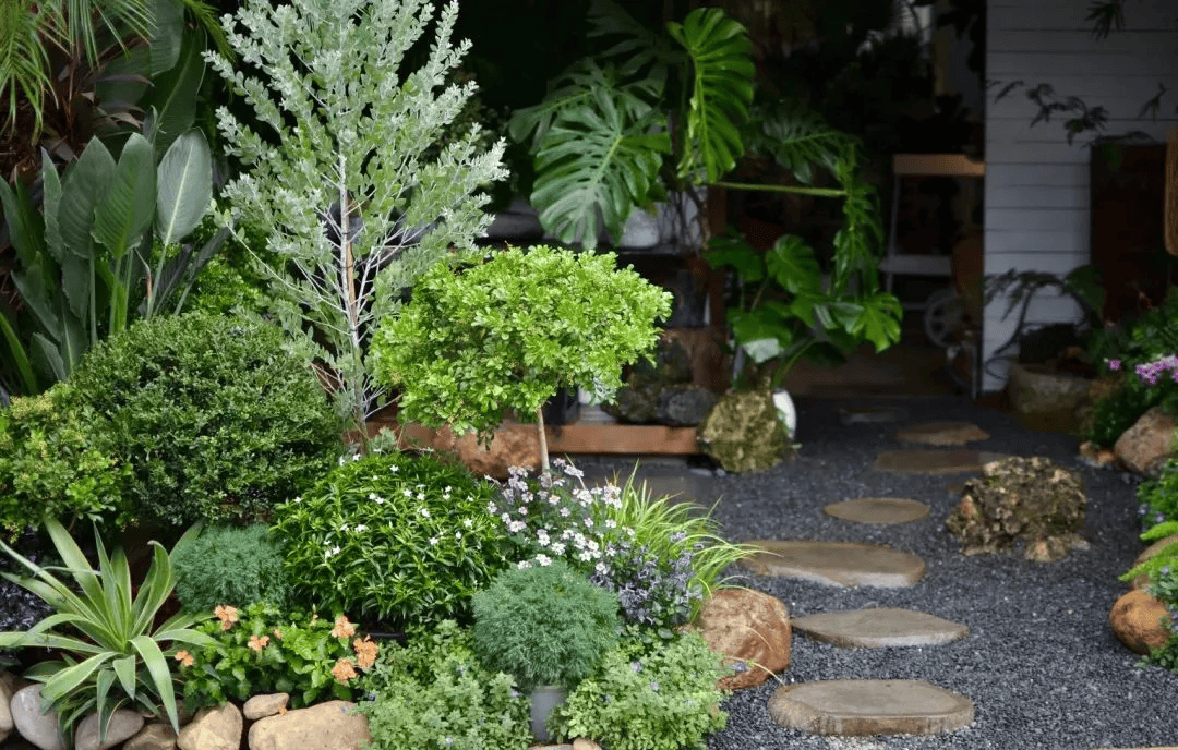 &amp;quot;和美庭院&amp;quot;微課堂③ | 庭院綠植搭配讓小院變身自然系花園