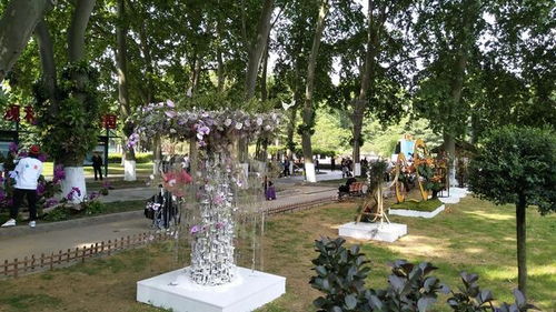 解放公園園藝展