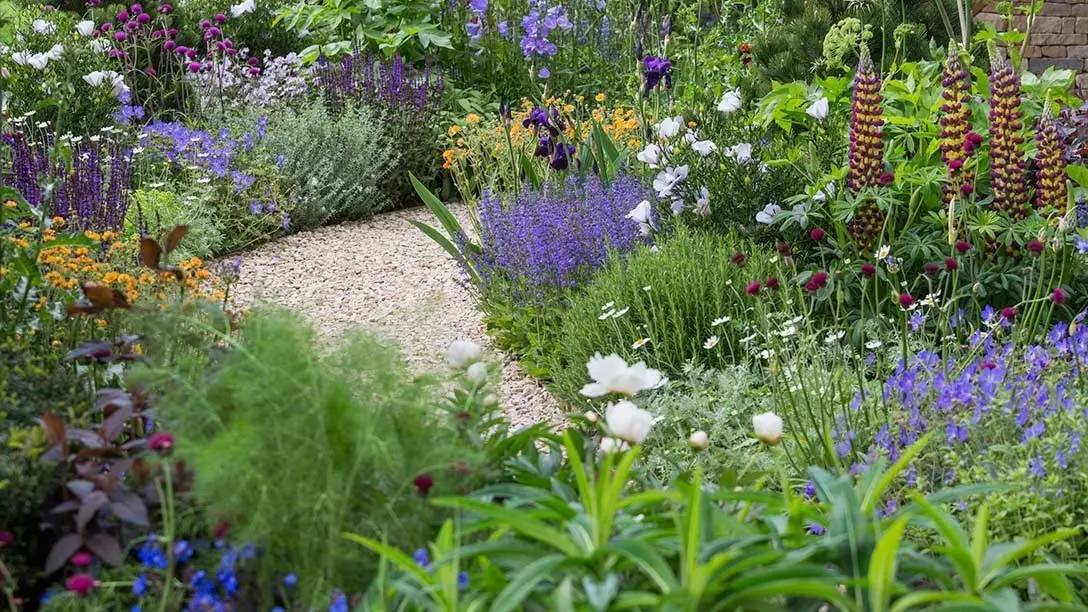 世界頂級園藝盛會:切爾西花展2017精選