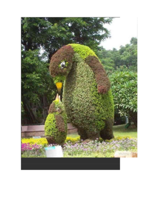 超級園藝景觀設計圖