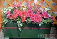 園藝制品.防腐炭化木.花盆.柵欄.[批發(fā)]_家用竹、木制品_世界工廠網(wǎng)中國產(chǎn)品信息庫