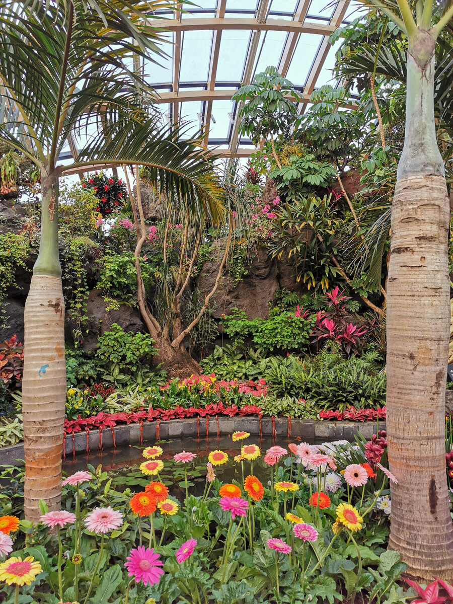 太原植物園之主題花卉館