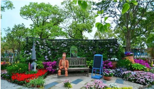 上海夢花園市民綠化節家庭園藝秀讓鮮花裝點生活 讓園藝成就夢想