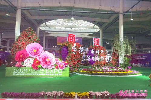 第七屆濟南花卉園藝博覽會暨第四屆濟南都市農產品博覽會在商河開幕