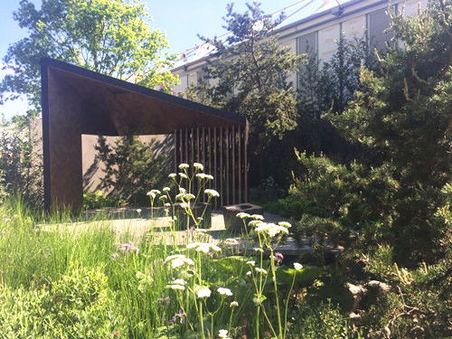 2017英國景觀專業考察day3 沉醉在花的海洋 切爾西花展