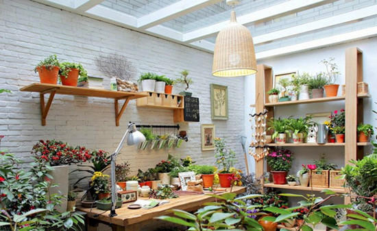 養花與陽臺小氣候