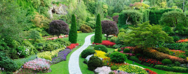 從植物配置看景觀設計