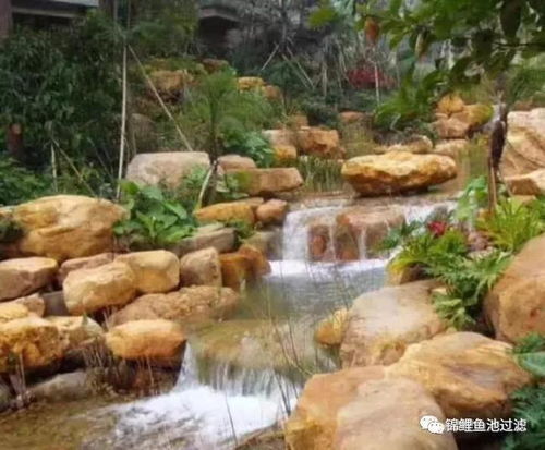 先懂魚池過濾,再談養魚