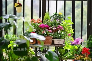 園藝界又納新寵 園藝療法園 怎么玩