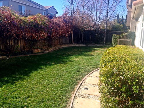 馨的園藝生活 后院第一次改造記