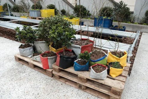 像植物一樣有機(jī)生長 跟Freitag學(xué)可持續(xù)更新與園藝智慧