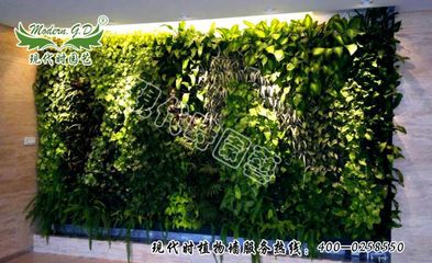 現(xiàn)代時(shí)園藝 專業(yè)打造哈爾濱植物墻與綠植墻施工服務(wù)