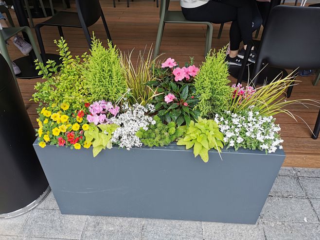 打造迷人庭院 花箱配置的園藝指南