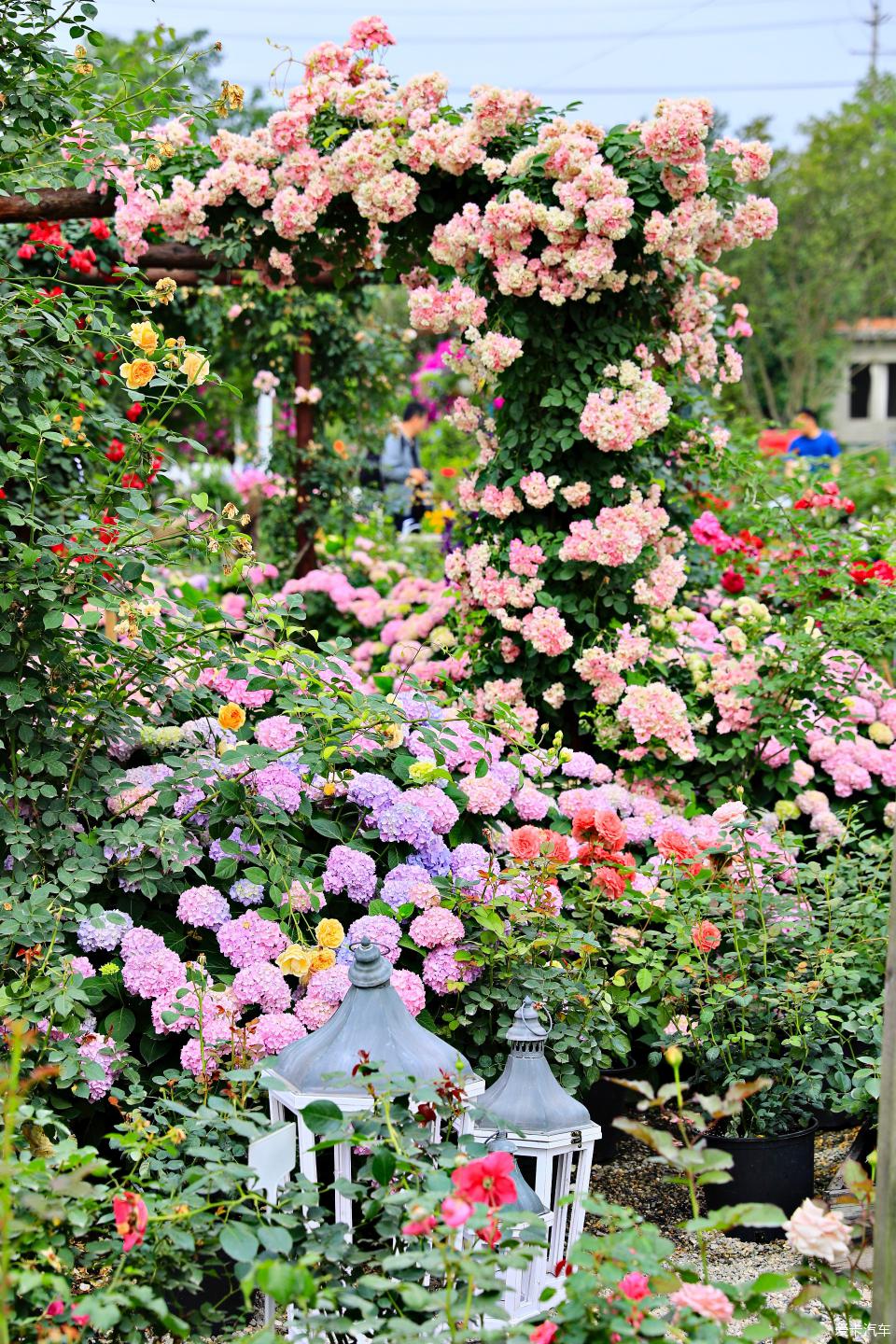 海蒂的花園 一方自然與心靈的棲息地