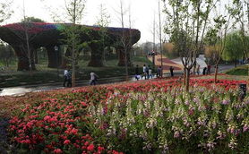 西安園藝博覽會(huì)園區(qū)今日盛大開(kāi)幕 領(lǐng)略自然與園藝之美