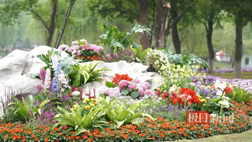 觀奇花，學(xué)園藝 世界花園大會(huì)引領(lǐng)花卉與園藝新風(fēng)尚