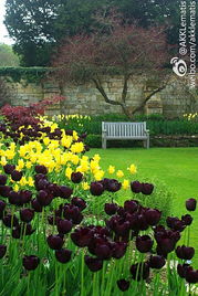 園藝的樂(lè)趣與益處