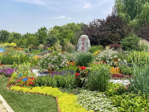 呼和浩特市第四屆園林園藝職工職業(yè)技能競(jìng)賽盛大開(kāi)幕