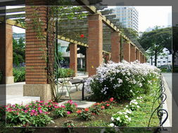 園藝之美 探索園藝圖庫(kù)的視覺(jué)盛宴與實(shí)用價(jià)值