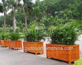 上?；ㄏ溥x購(gòu)指南 實(shí)木與鐵質(zhì)花箱的特性、生產(chǎn)廠家與價(jià)格解析