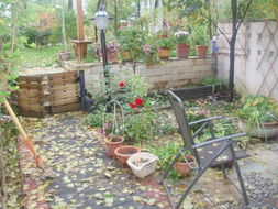 探秘園藝圖庫 指尖上的綠色靈感寶庫