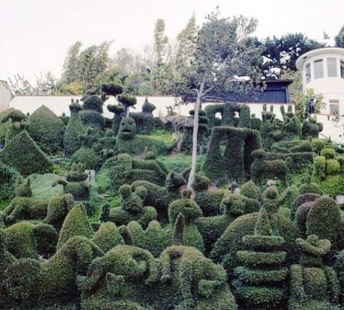 33張活久未見的園藝照片 匠心獨運還是自然之殤？